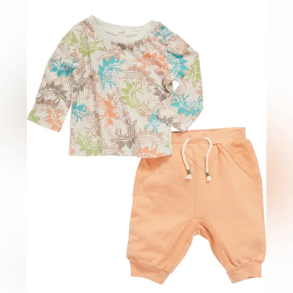 Peek Baby 2-Piece Dinos Print Cotton Top & Pants NWT